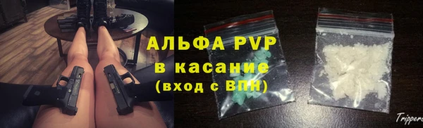 ПСИЛОЦИБИНОВЫЕ ГРИБЫ Карпинск