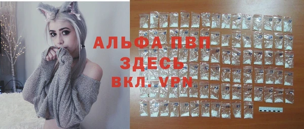 ПСИЛОЦИБИНОВЫЕ ГРИБЫ Карпинск