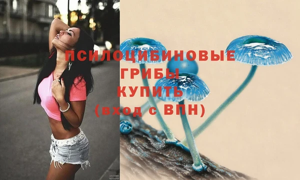 ПСИЛОЦИБИНОВЫЕ ГРИБЫ Карпинск