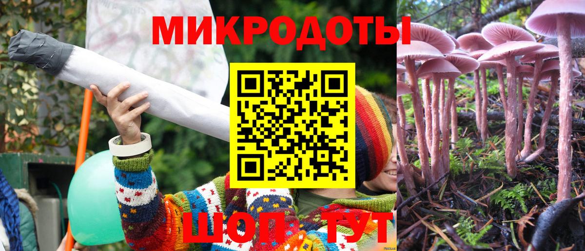 Керчь  Псилоцибиновые грибы Cubensis  даркнет сайт  Вход с VPN 